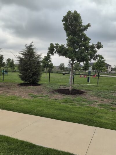 Pecan Square Dog Park - Northlake, TX