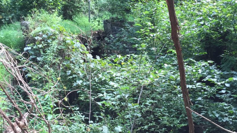 Liberty Hollow Park - Northumberland, PA