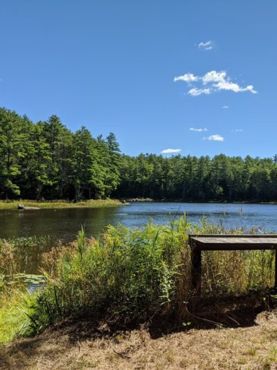 Northwood Meadows State Park - Northwood, NH