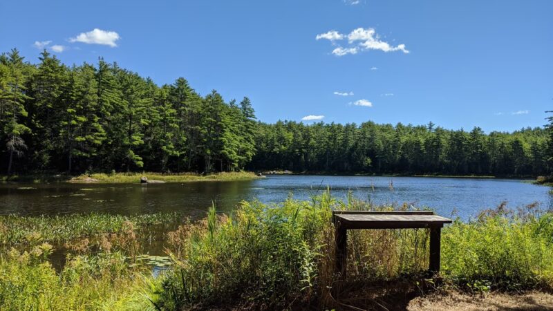 Northwood Meadows State Park - Northwood, NH