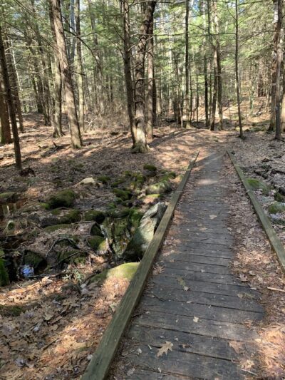 Northwood Meadows State Park - Northwood, NH