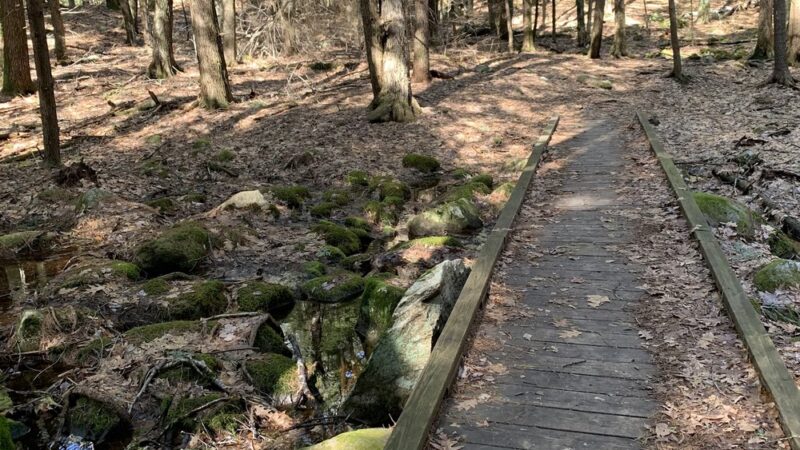 Northwood Meadows State Park - Northwood, NH