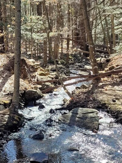 Northwood Meadows State Park - Northwood, NH