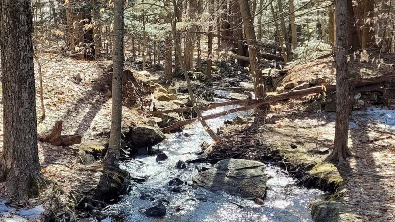 Northwood Meadows State Park - Northwood, NH