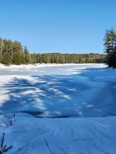 Northwood Meadows State Park - Northwood, NH