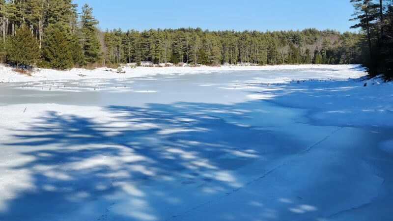 Northwood Meadows State Park - Northwood, NH