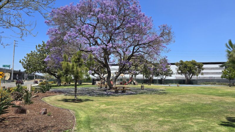 Robert White Park + Dog Park - Norwalk, CA