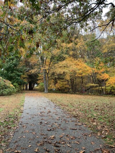 Gallaher Mansion and Cranbury Park - Norwalk, CT