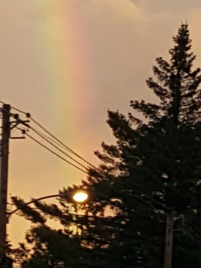 Harry Park - Norway, ME