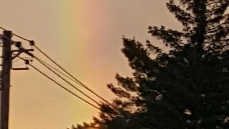 Harry Park - Norway, ME