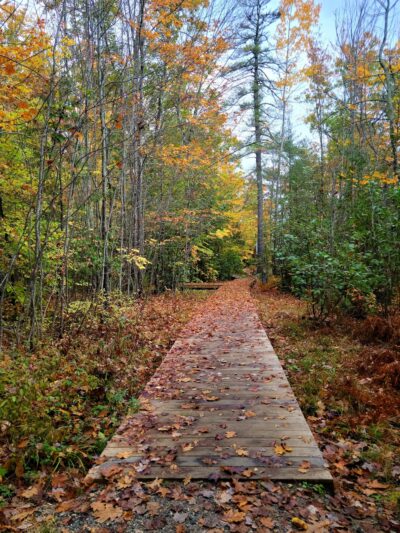 Lake Pennesseewassee Park - Norway, ME