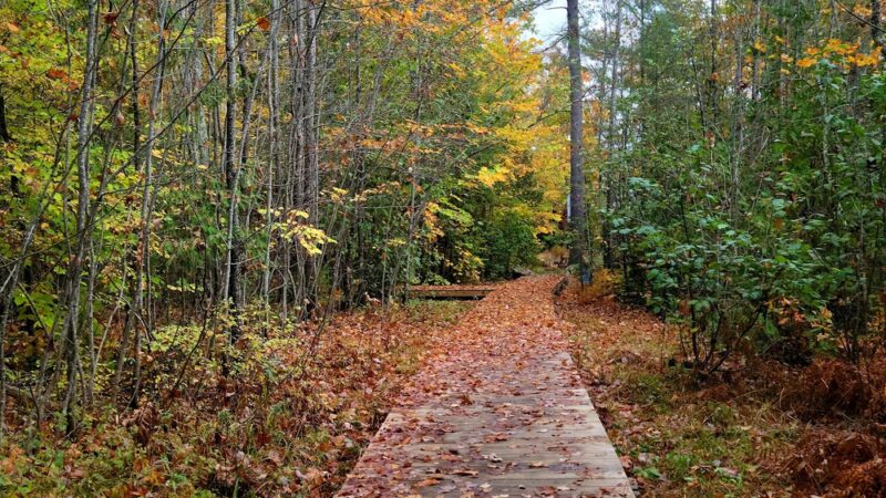 Lake Pennesseewassee Park - Norway, ME