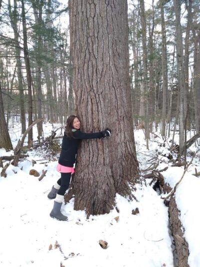 Ordway Grove - Norway, ME