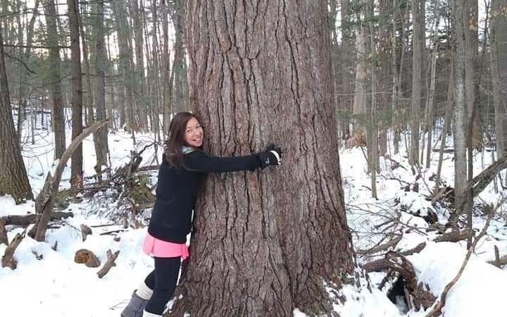 Ordway Grove - Norway, ME