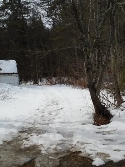 Ordway Grove - Norway, ME