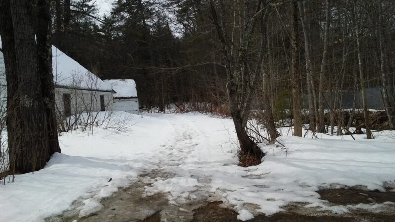 Ordway Grove - Norway, ME