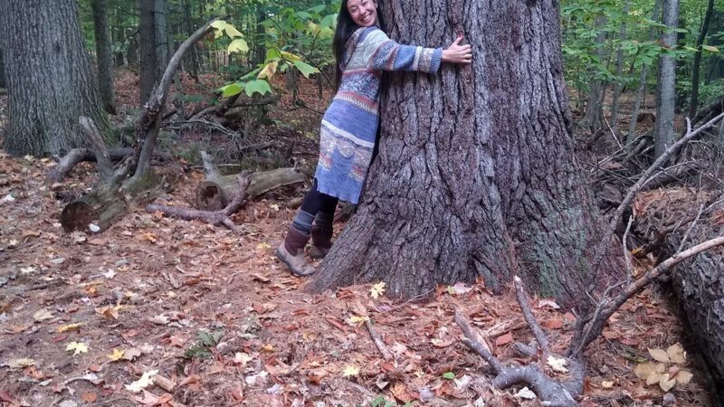 Ordway Grove - Norway, ME