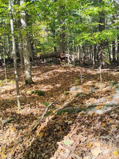 Ordway Grove - Norway, ME