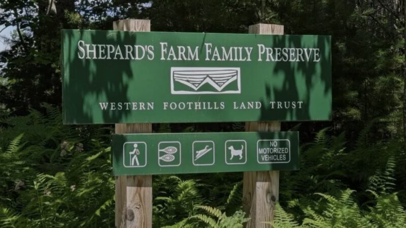 Shepard's Farm Preserve - Norway, ME