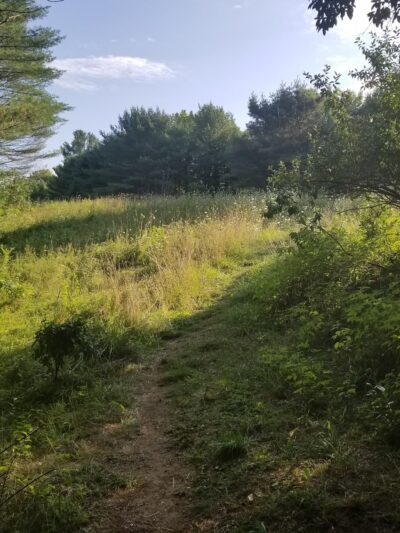 Shepard's Farm Preserve - Norway, ME