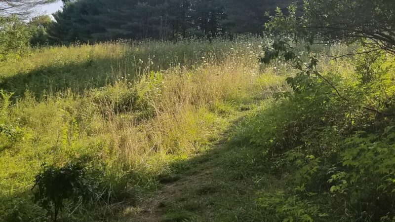 Shepard's Farm Preserve - Norway, ME