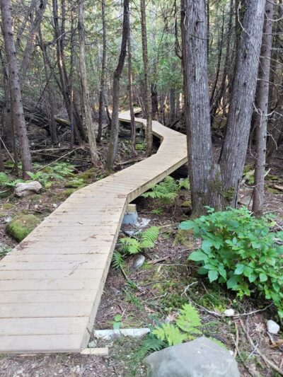 Shepard's Farm Preserve - Norway, ME