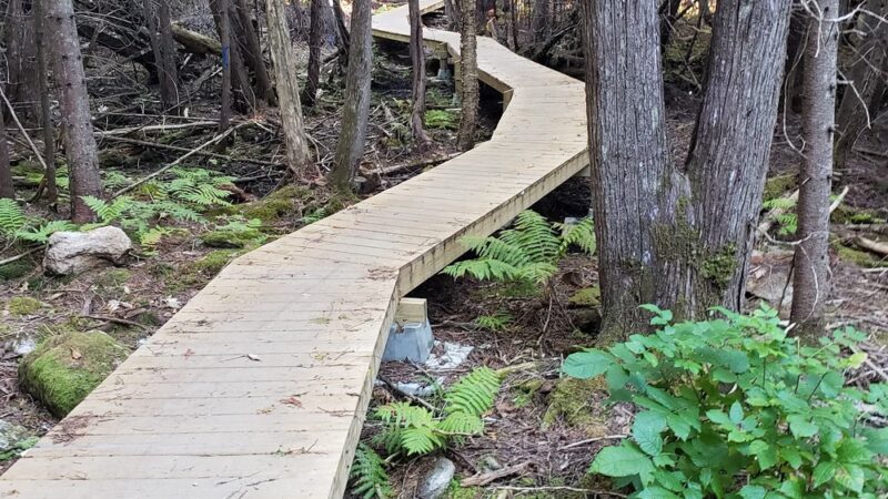 Shepard's Farm Preserve - Norway, ME