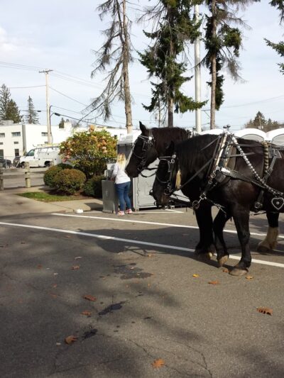 East Park - Norwich, NY