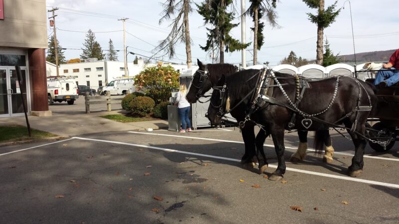 East Park - Norwich, NY