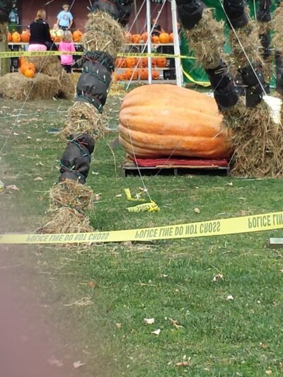 East Park - Norwich, NY