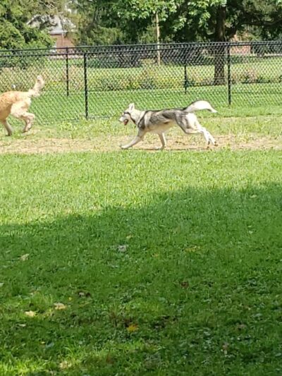 Greenway Park - Norwich, NY