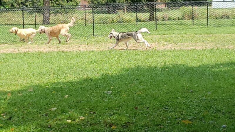 Greenway Park - Norwich, NY