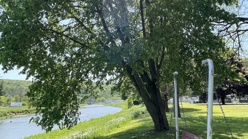 Greenway Park - Norwich, NY