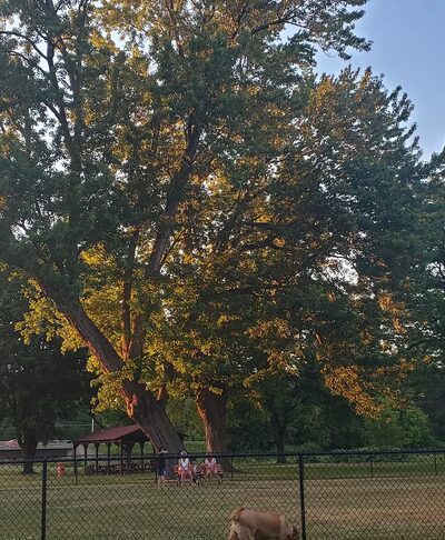 Greenway Park - Norwich, NY