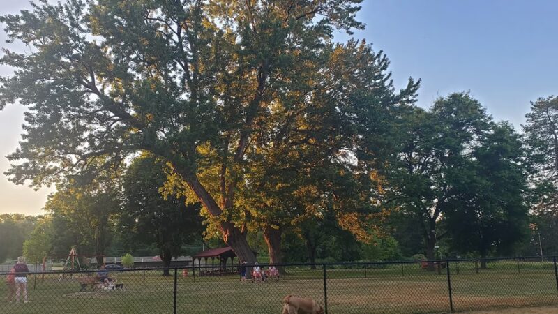 Greenway Park - Norwich, NY