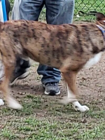 Greenway Park - Norwich, NY