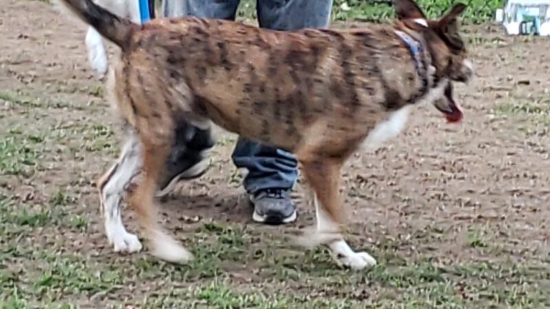 Greenway Park - Norwich, NY