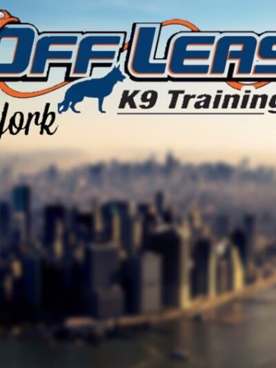 NY Metro Off Leash K9 Training - ,