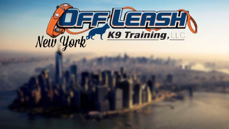 NY Metro Off Leash K9 Training - ,