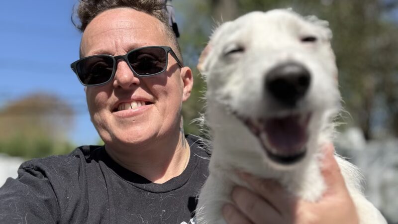 NY Metro Off Leash K9 Training - ,