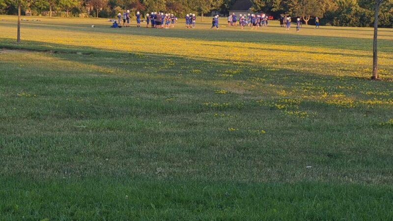 Johnstone Park | Leased by the City of Oak Creek - Oak Creek, WI