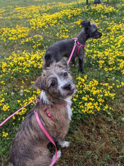 Johnstone Park | Leased by the City of Oak Creek - Oak Creek, WI