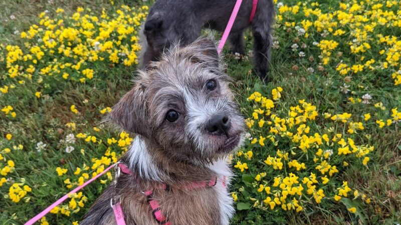 Johnstone Park | Leased by the City of Oak Creek - Oak Creek, WI