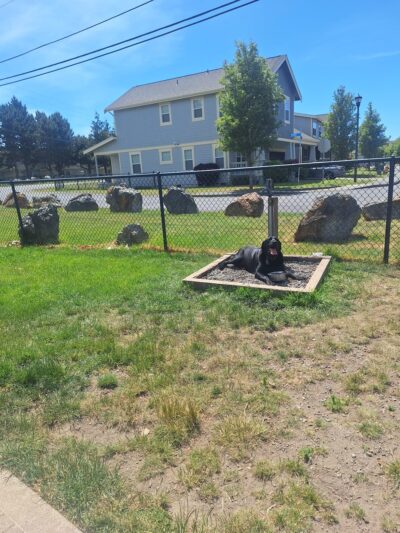 Dog park - Oak Harbor, WA