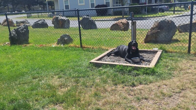Dog park - Oak Harbor, WA