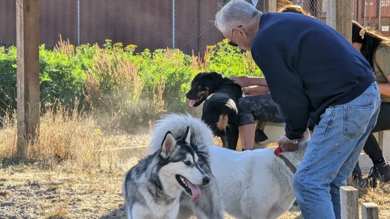 Technical Drive Off-leash Dog Park - Oak Harbor, WA