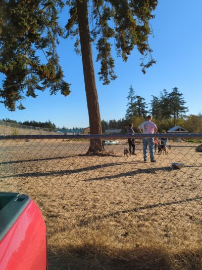 Technical Drive Off-leash Dog Park - Oak Harbor, WA