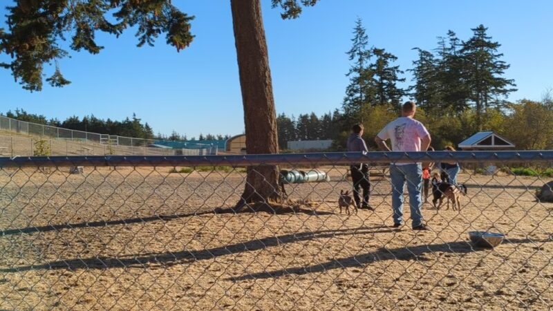 Technical Drive Off-leash Dog Park - Oak Harbor, WA