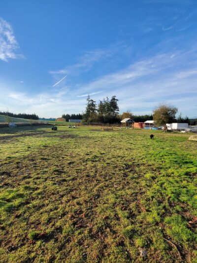 Technical Drive Off-leash Dog Park - Oak Harbor, WA