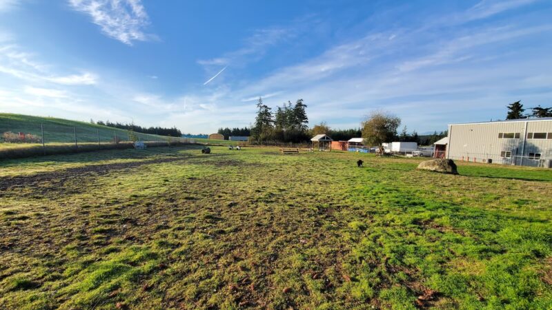 Technical Drive Off-leash Dog Park - Oak Harbor, WA